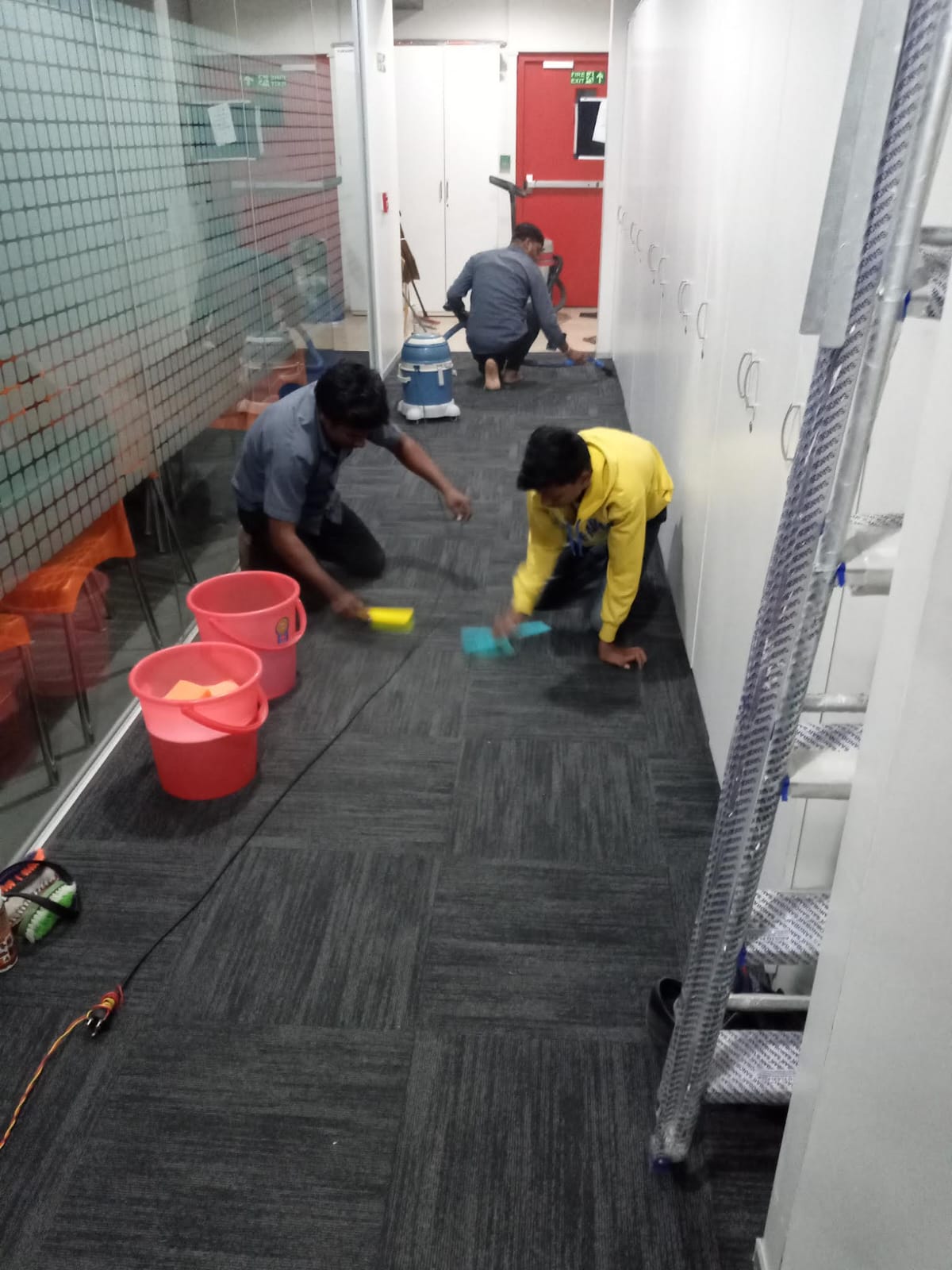 Stain & Odor Removal Services